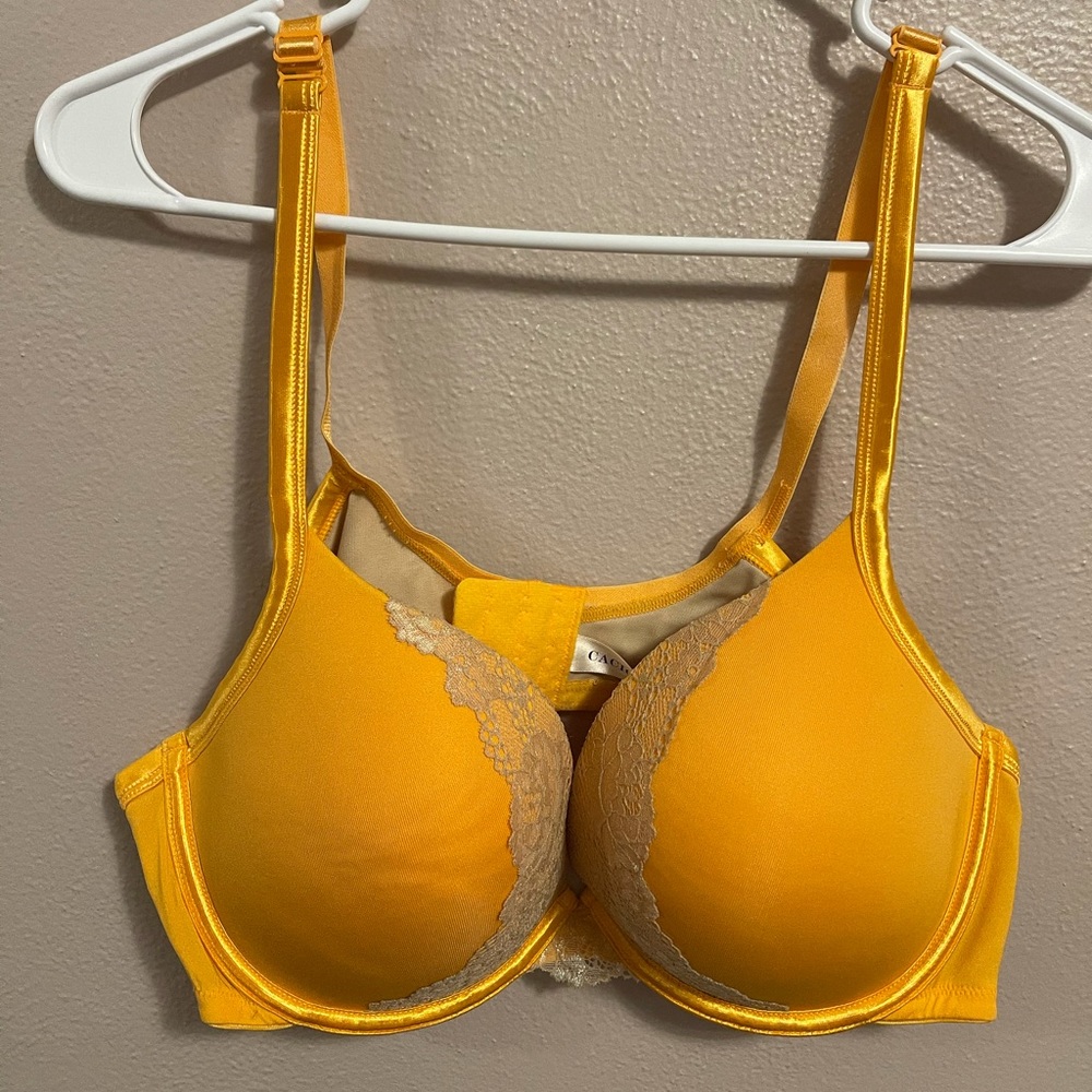 44B push up plunge
